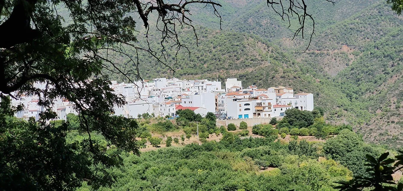 Mijas H3 - Hash Flash Golden Cascade - Run 1709 - 23 Aug 2020 - Photo 1.jpg