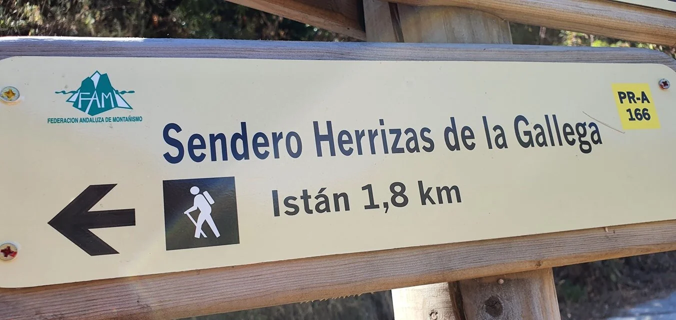 Mijas H3 - Hash Flash Golden Cascade - Run 1709 - 23 Aug 2020 - Photo 11.jpg