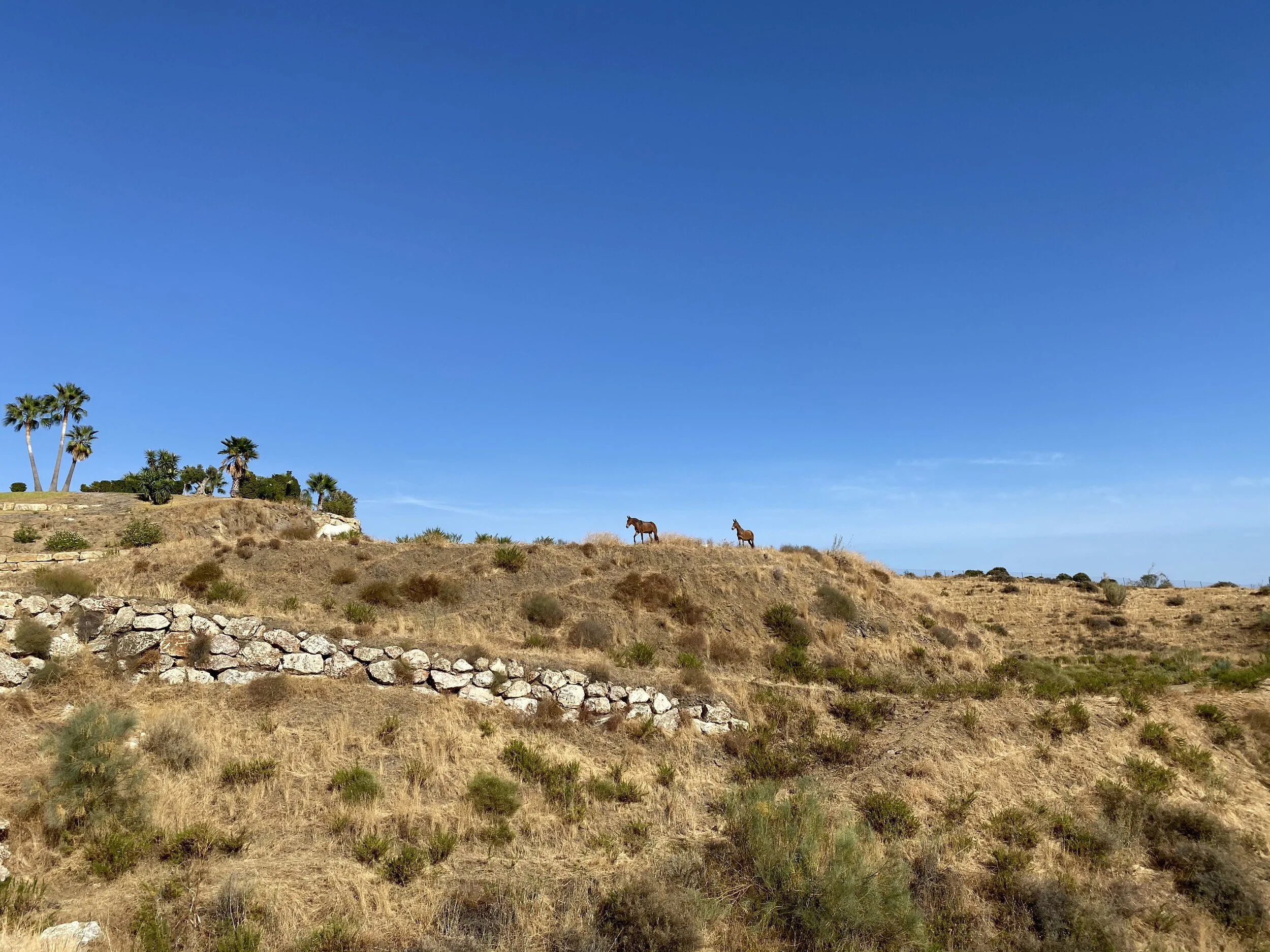 Mijas H3 - Hash Flash Cabin Boy - Run 1711 - 06 Sep 2020 - Photo 11.jpeg