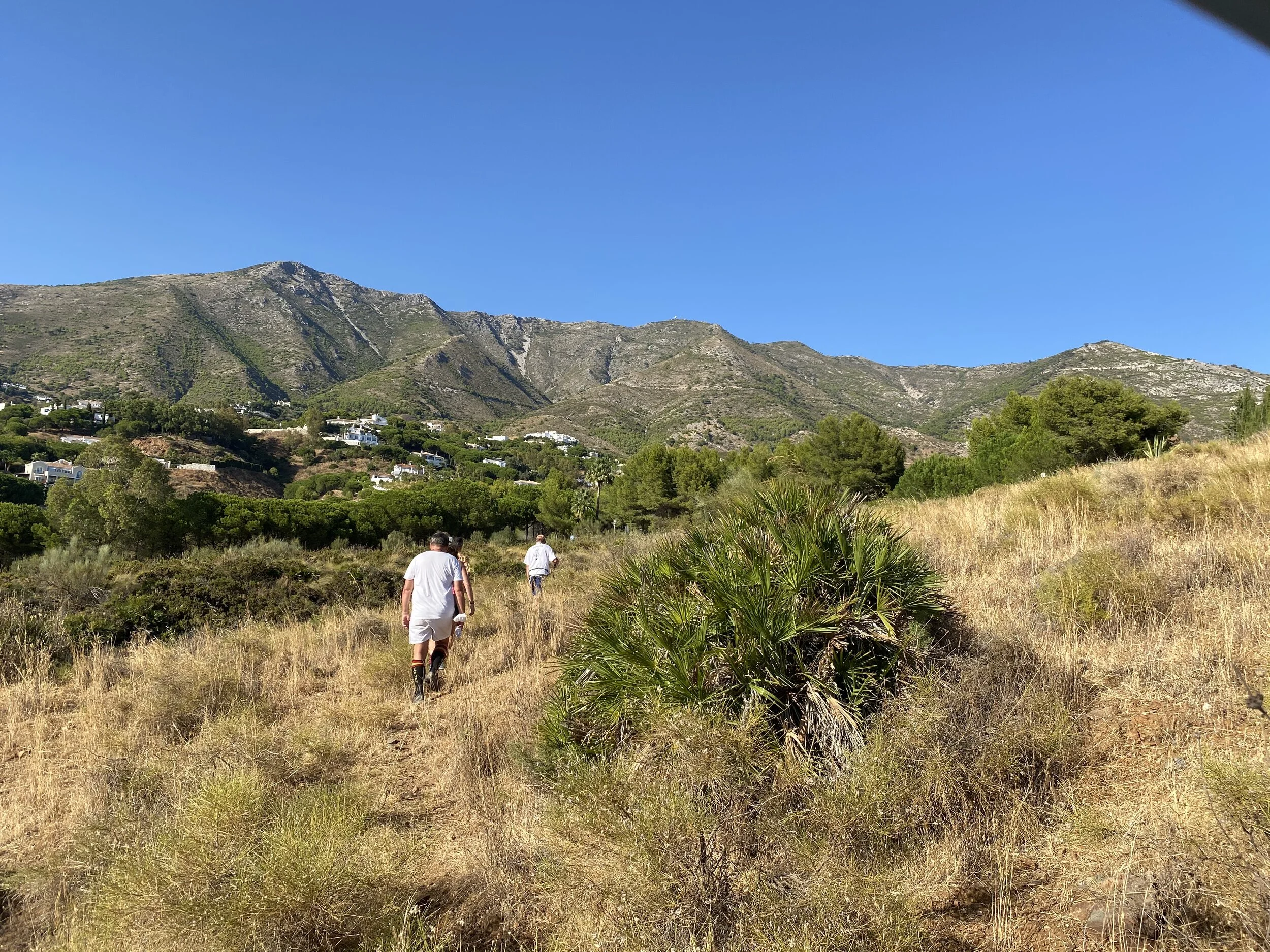 Mijas H3 - Hash Flash Cabin Boy - Run 1711 - 06 Sep 2020 - Photo 22.jpeg
