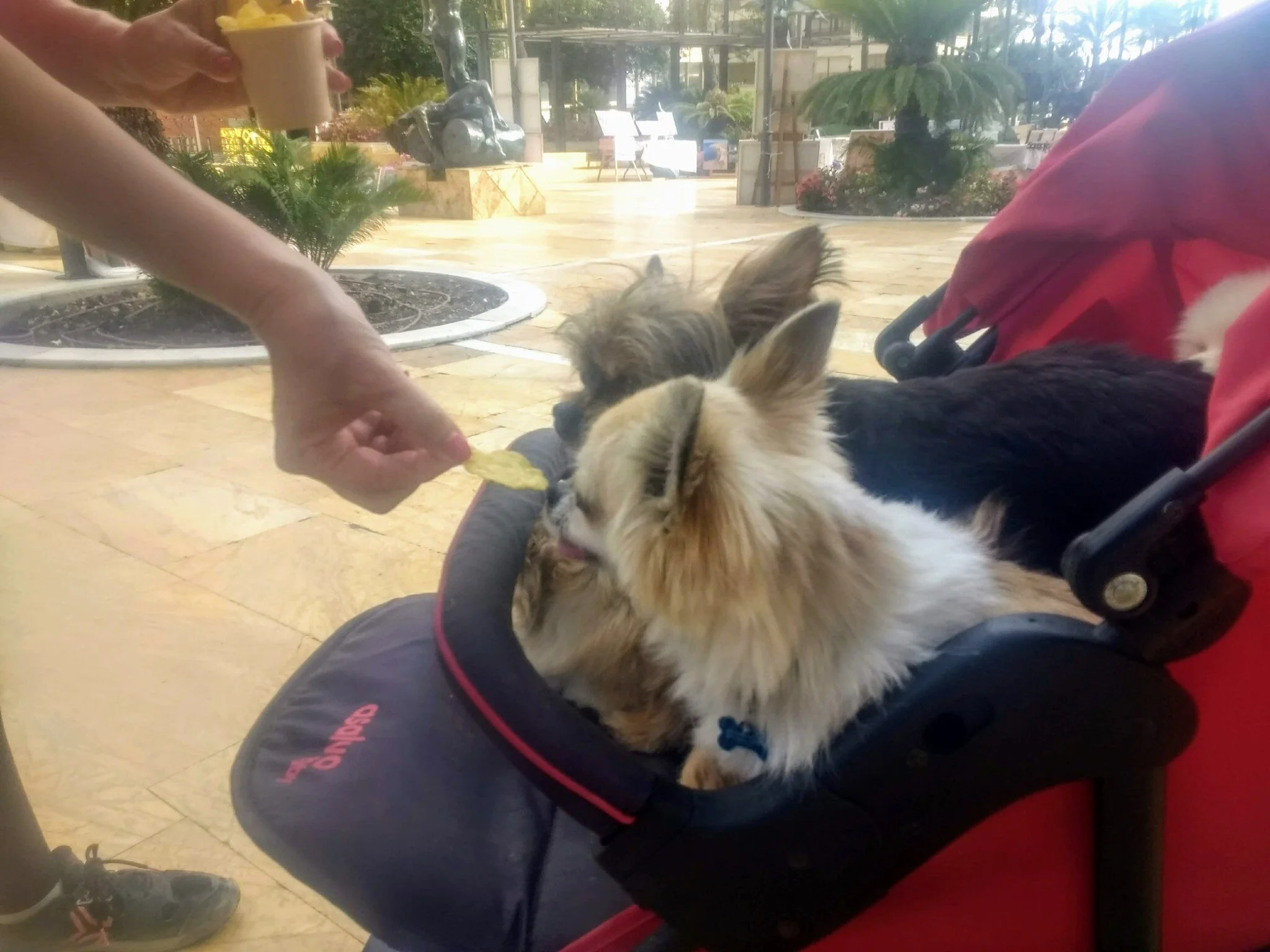 Mijas H3 - Hash Flash Sweet and Low - Run 1712 - 13 Sep 2020 - Photo 9.jpg