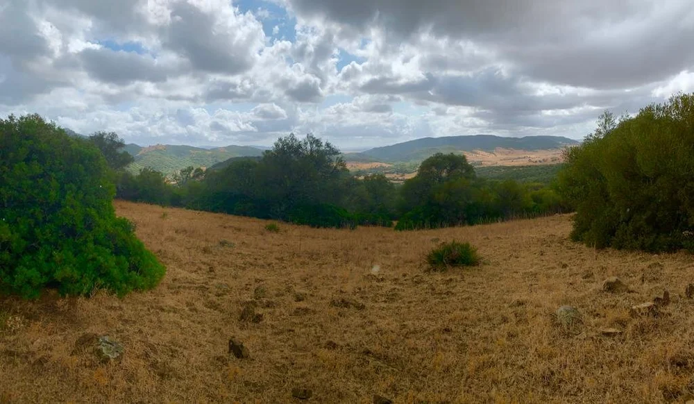 PHOTO-2020-09-21-21-37-24 19.jpg