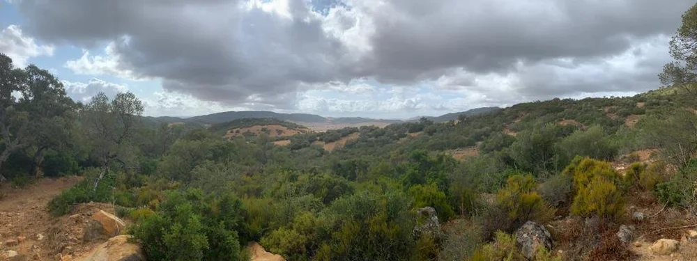 PHOTO-2020-09-21-21-46-50 2.jpg