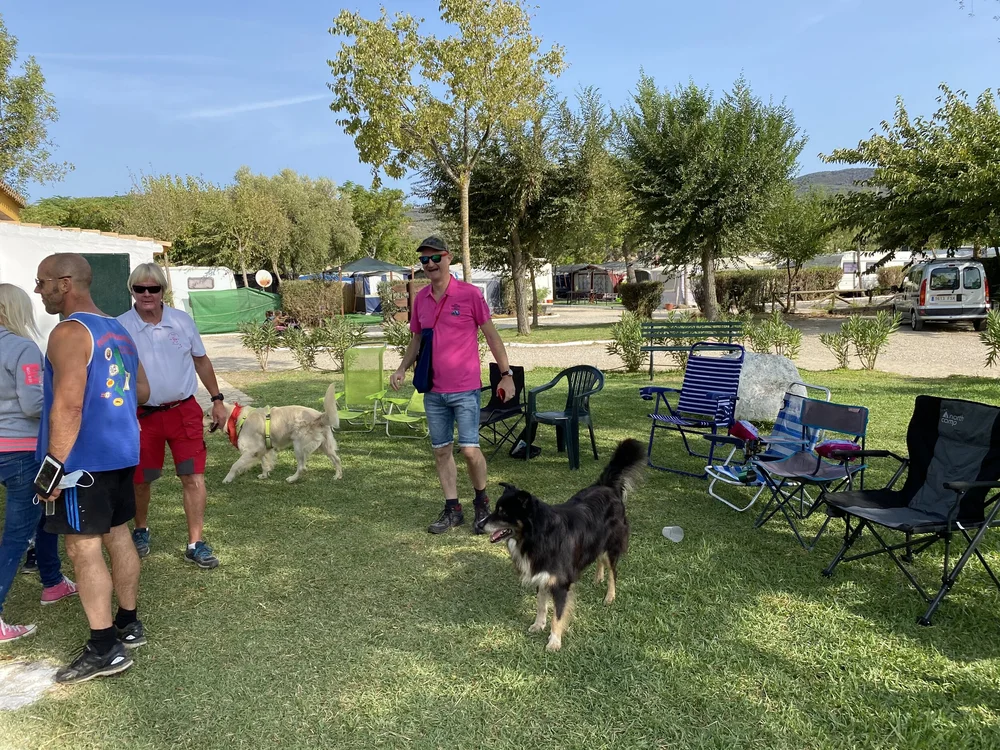 Mijas H3 - Hash Flash Cabin Boy - Run 1714 - 20 Sep 2020 - Photo 2.jpeg