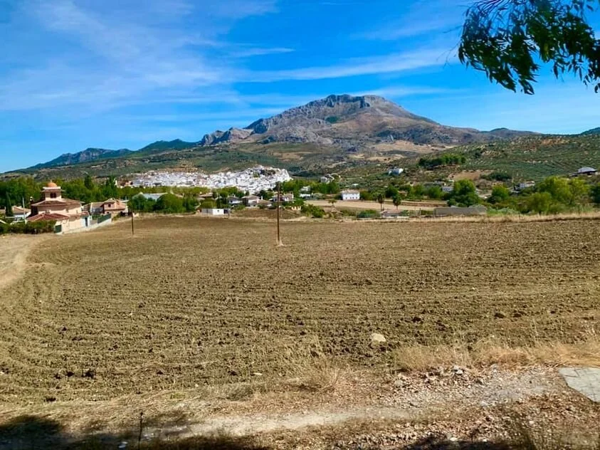 Mijas H3 - Hash Flash Master Bates - Run 1716 - 04 Oct 2020 - Photo 90.jpg