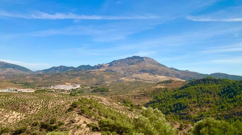 Mijas H3 - Hash Flash Master Bates - Run 1716 - 04 Oct 2020 - Photo 94.jpg