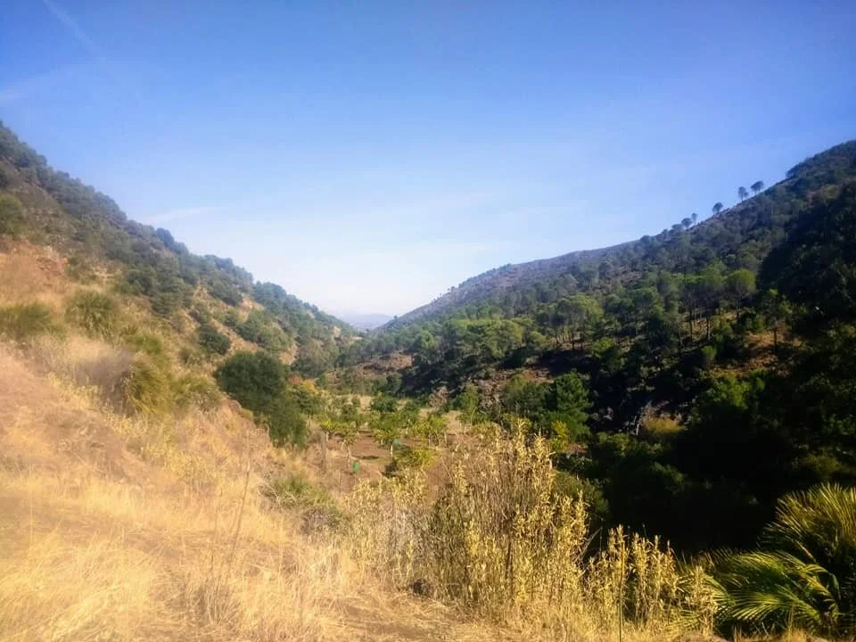 Mijas H3 - Hash Flash Anon - Run 1719 - 25 Oct 2020 - Photo 6.jpg
