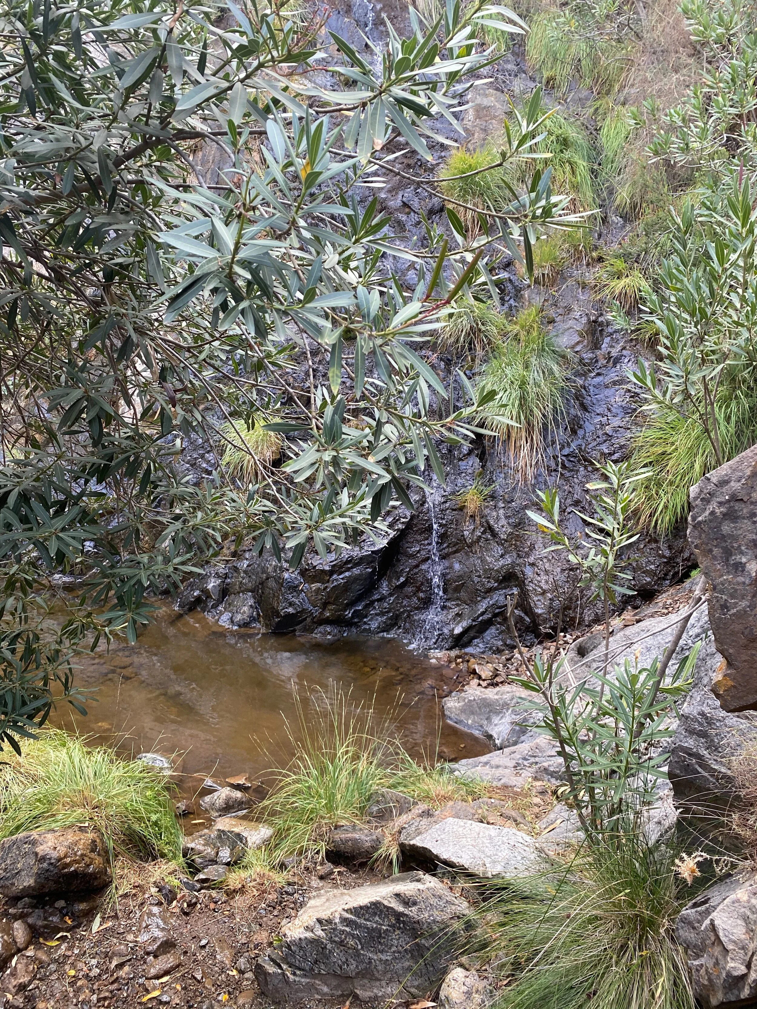 Mijas H3 - Hash Flash RH Chillie - Run 1719 - 25 Oct 2020 - Photo 11.jpeg