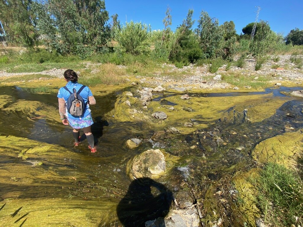 mijas-h3---hash-flash-cb---run-1699---14-jun-2019---photo-15_50010776152_o.jpg