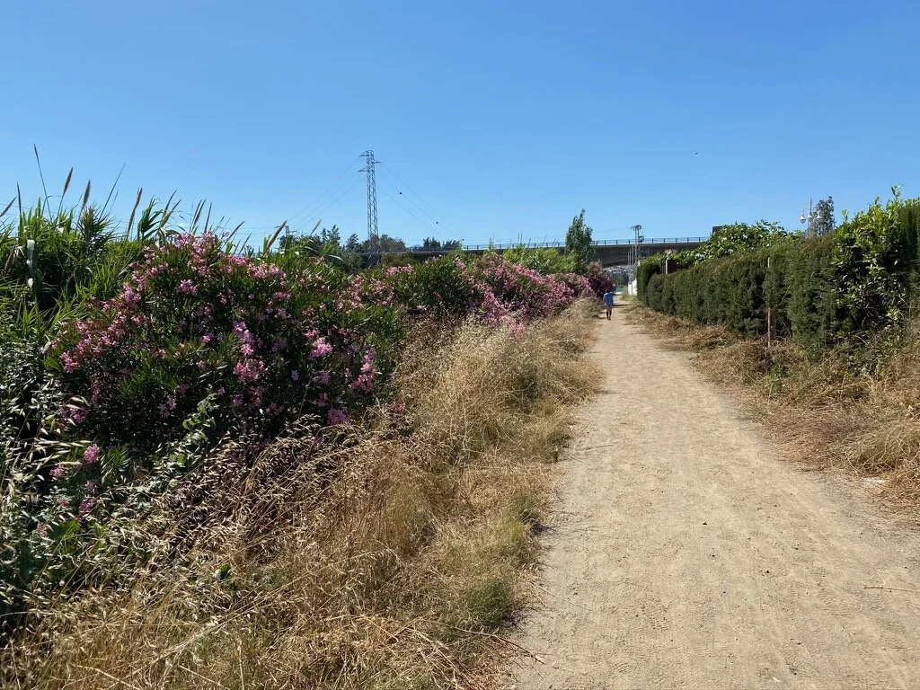mijas-h3---hash-flash-cb---run-1699---14-jun-2019---photo-16_50010776117_o.jpg