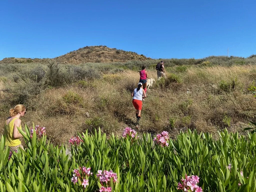 mijas-h3---hash-flash-cb---run-1699---14-jun-2019---photo-34_50009984668_o.jpg