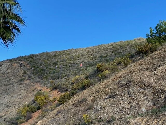 Mijas H3 - Hash Flash RHC - Run 1727- 20 Dec 2020 - Photo 1.jpg