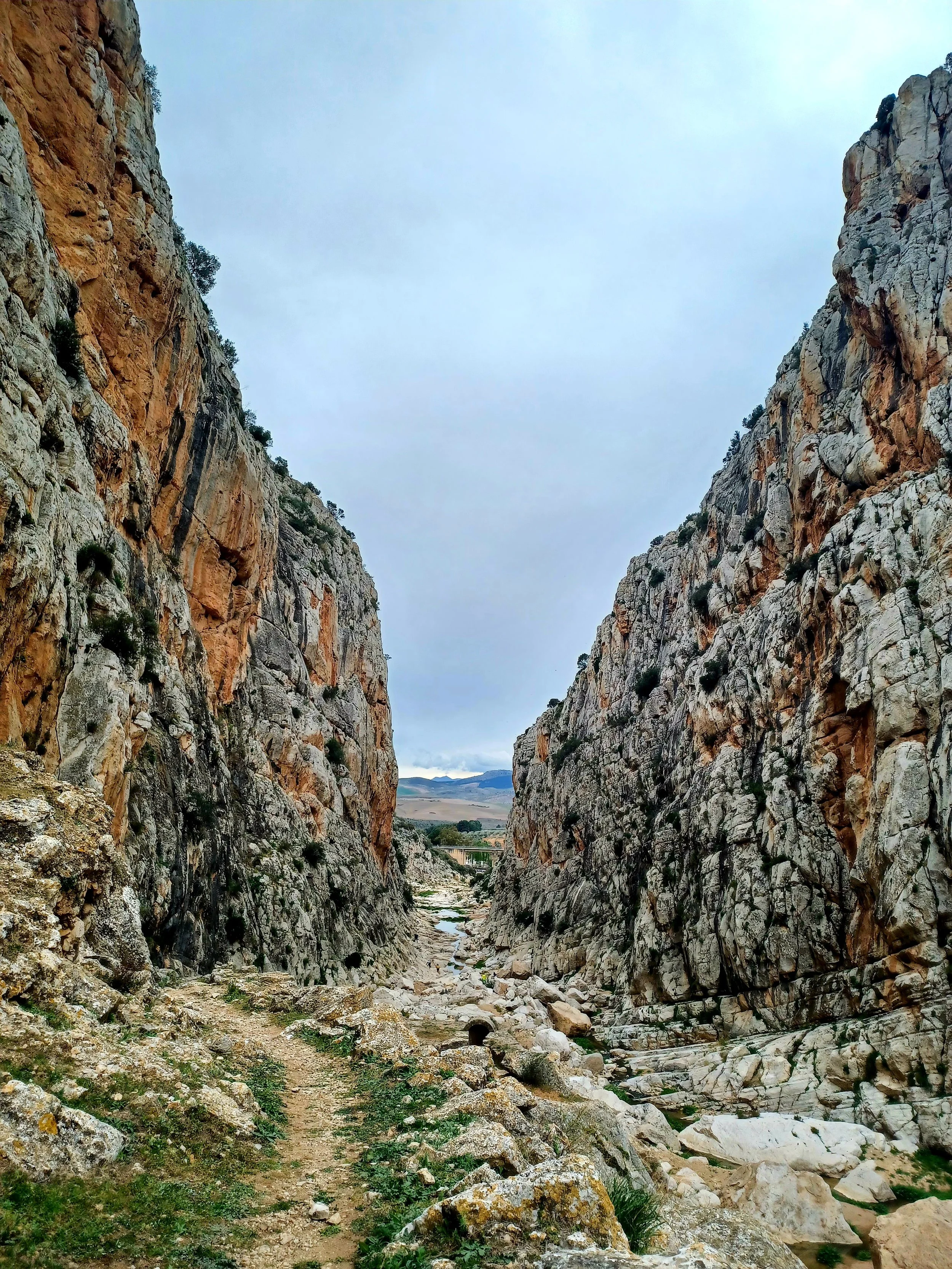 20220305_162529.jpg