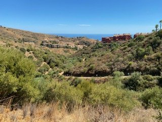 IMG_3019.jpg