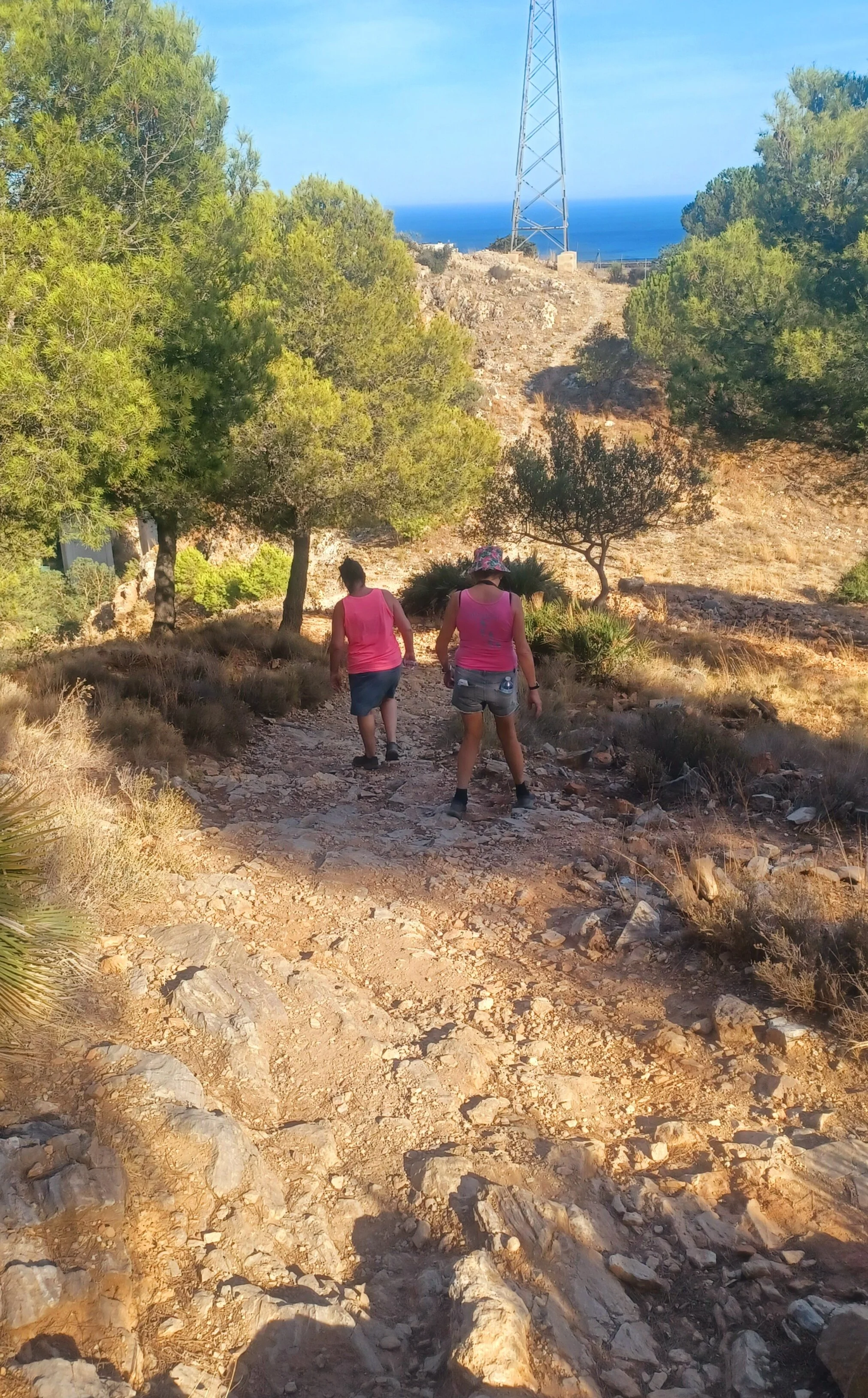 20230827_182043.jpg