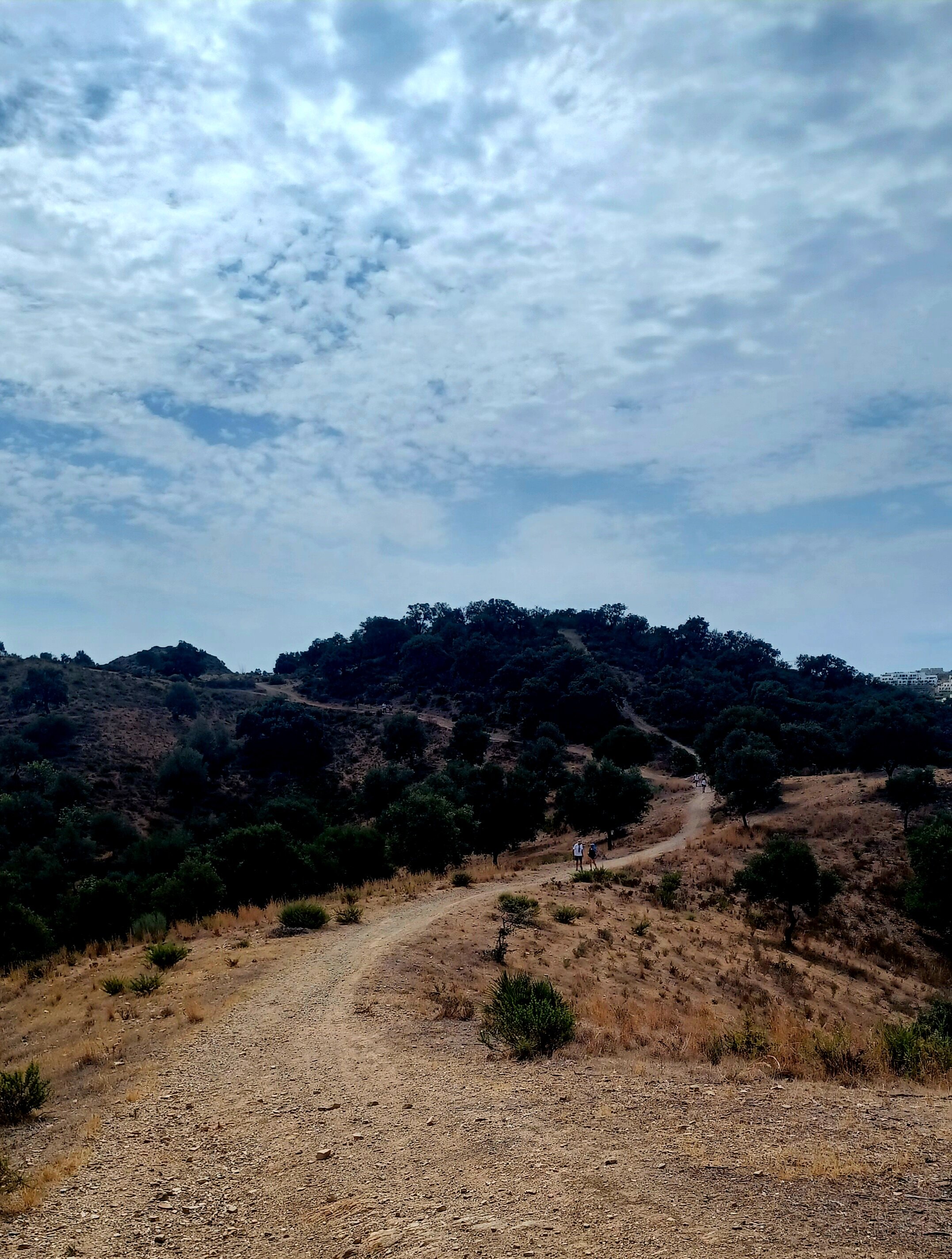 20230917_140225.jpg