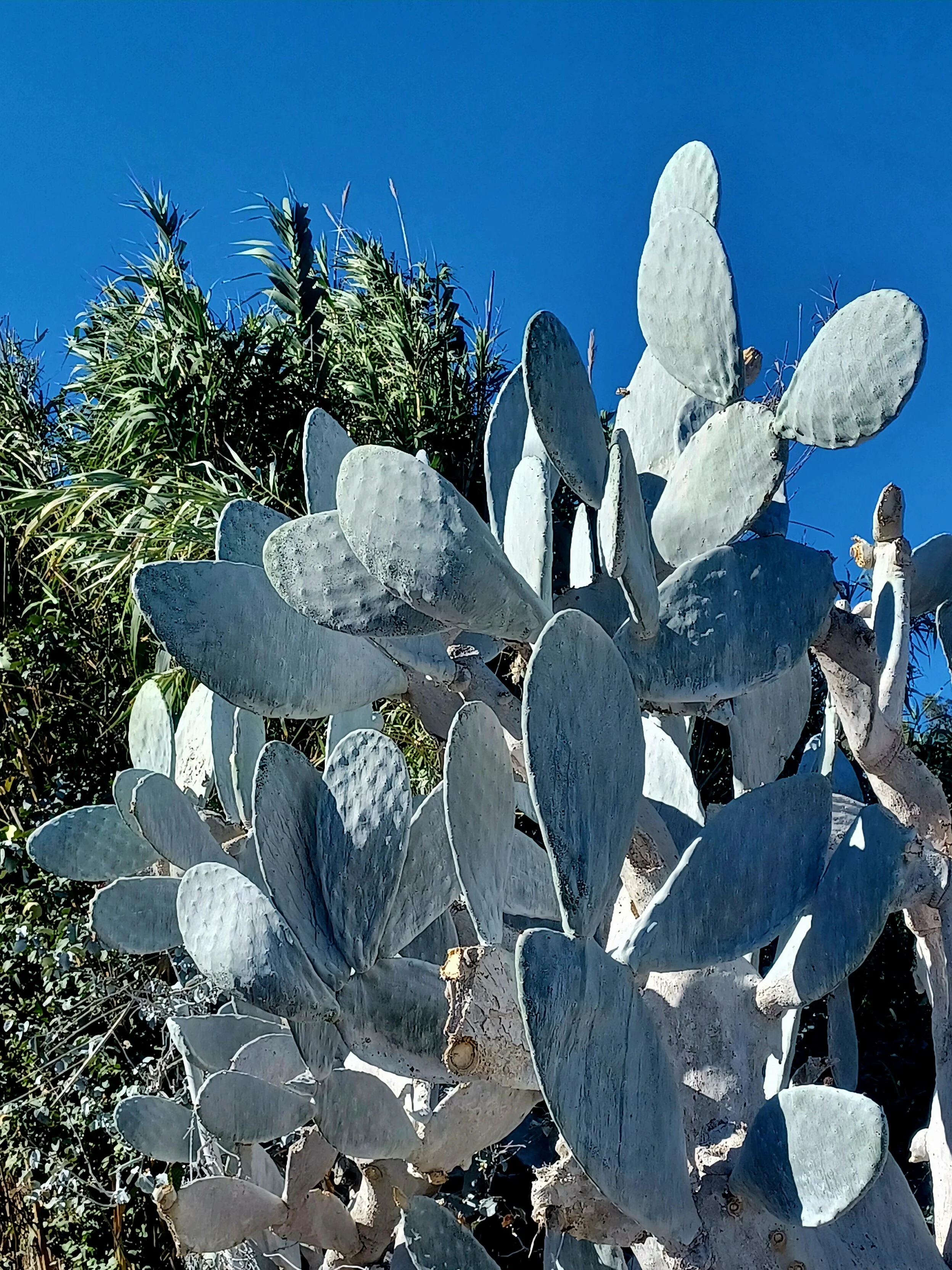 20231001_165920.jpg