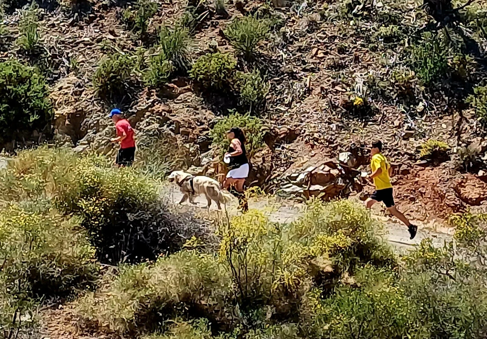 20240512_152321.jpg