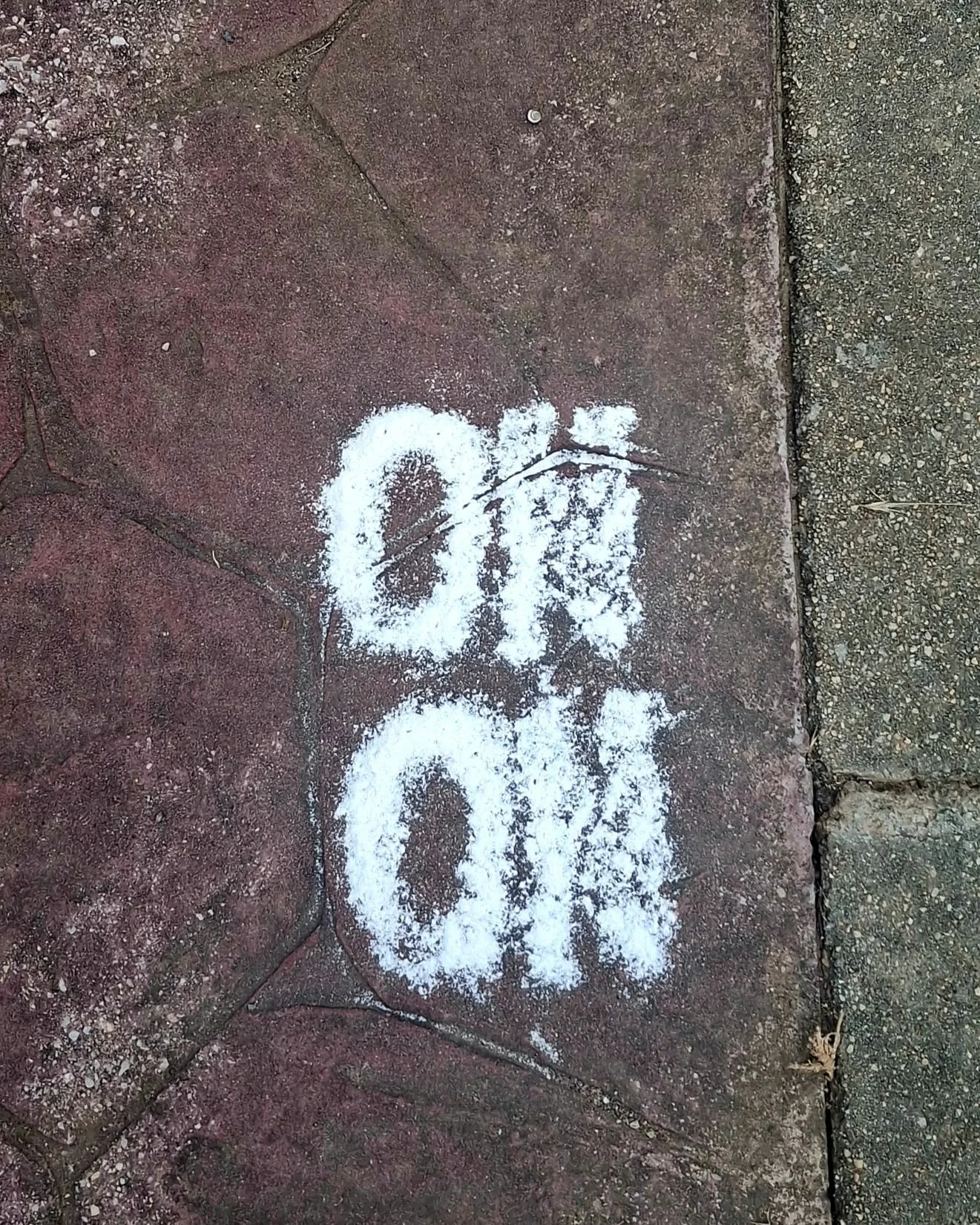 1000114399.jpg