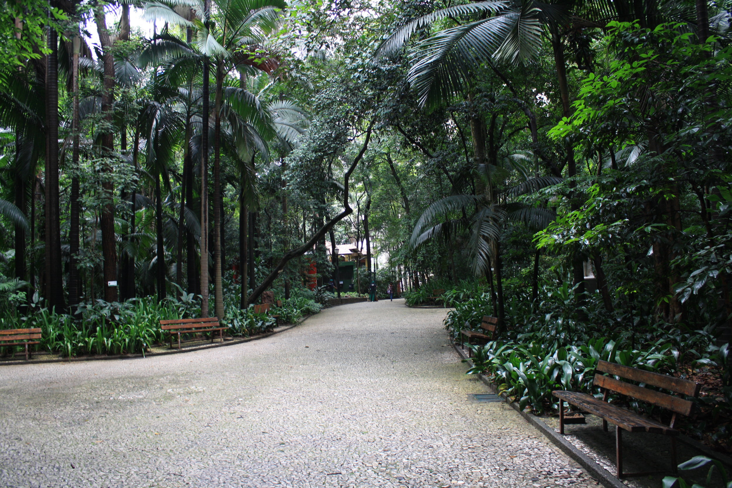 Trianon Park empty Sao Paulo