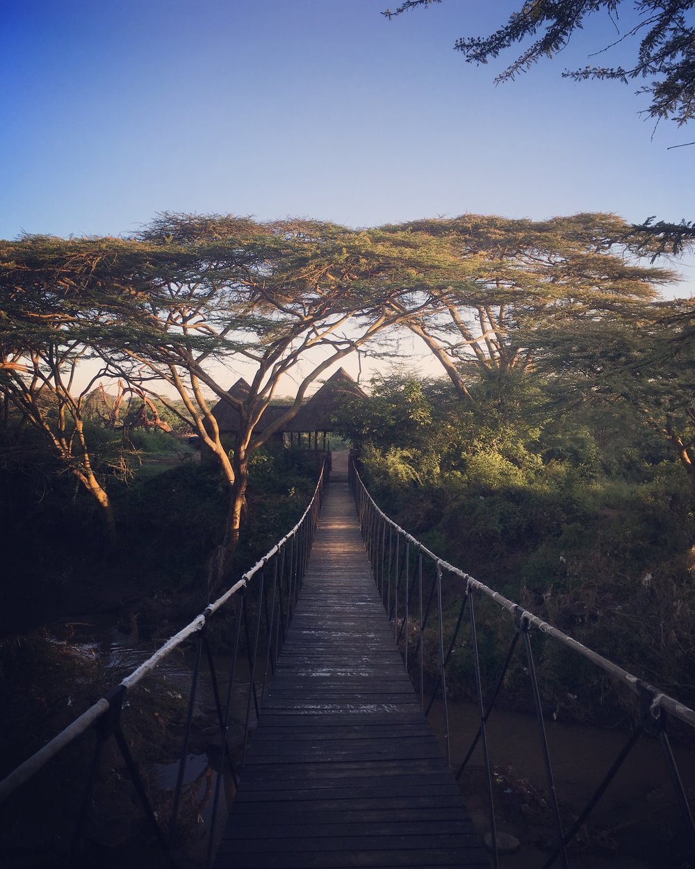 Ololo Safari Lodge Nairobi National Park