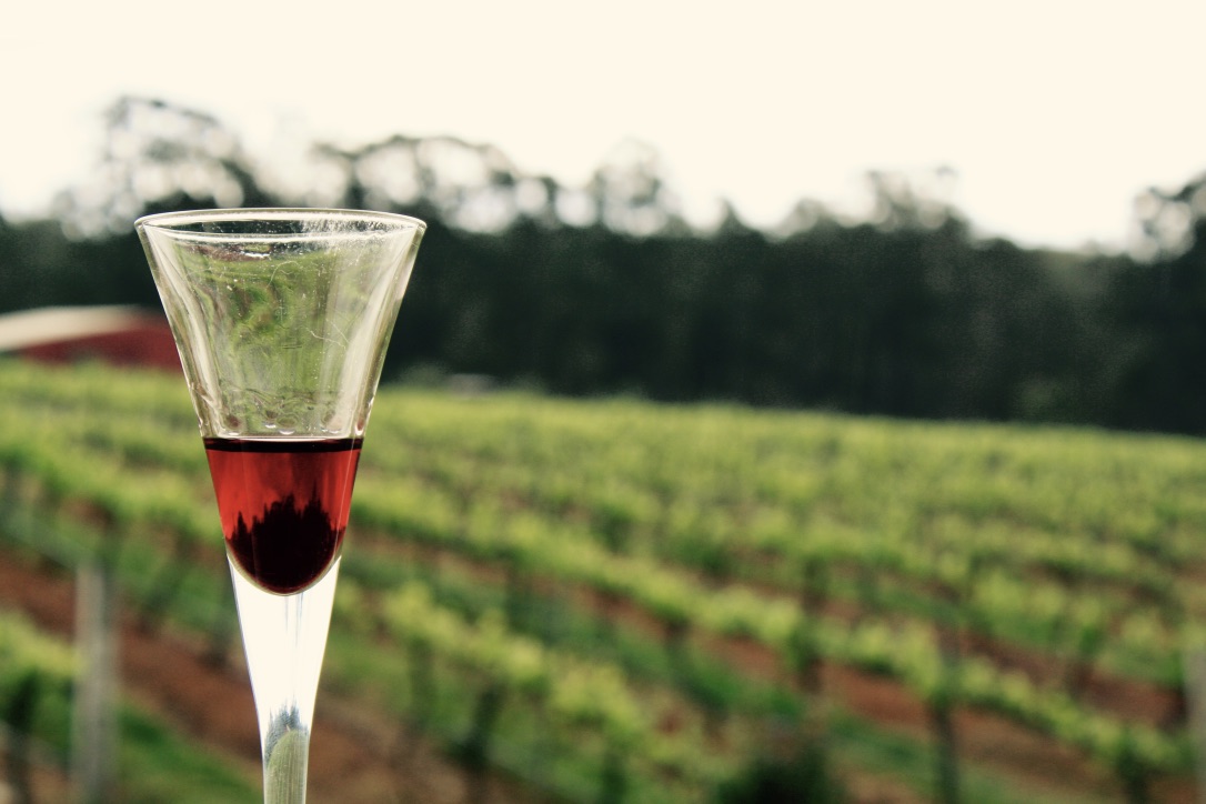 Hunter Valley wine glass vineyard