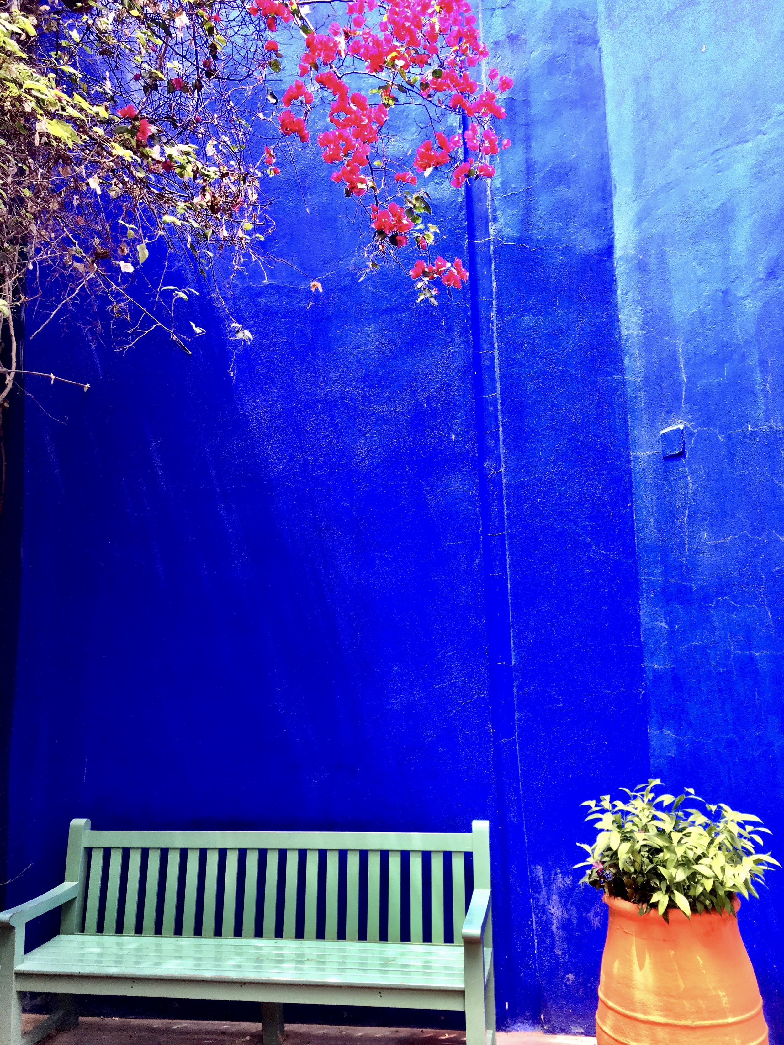 Majorelle Garden blue wall Marrakech