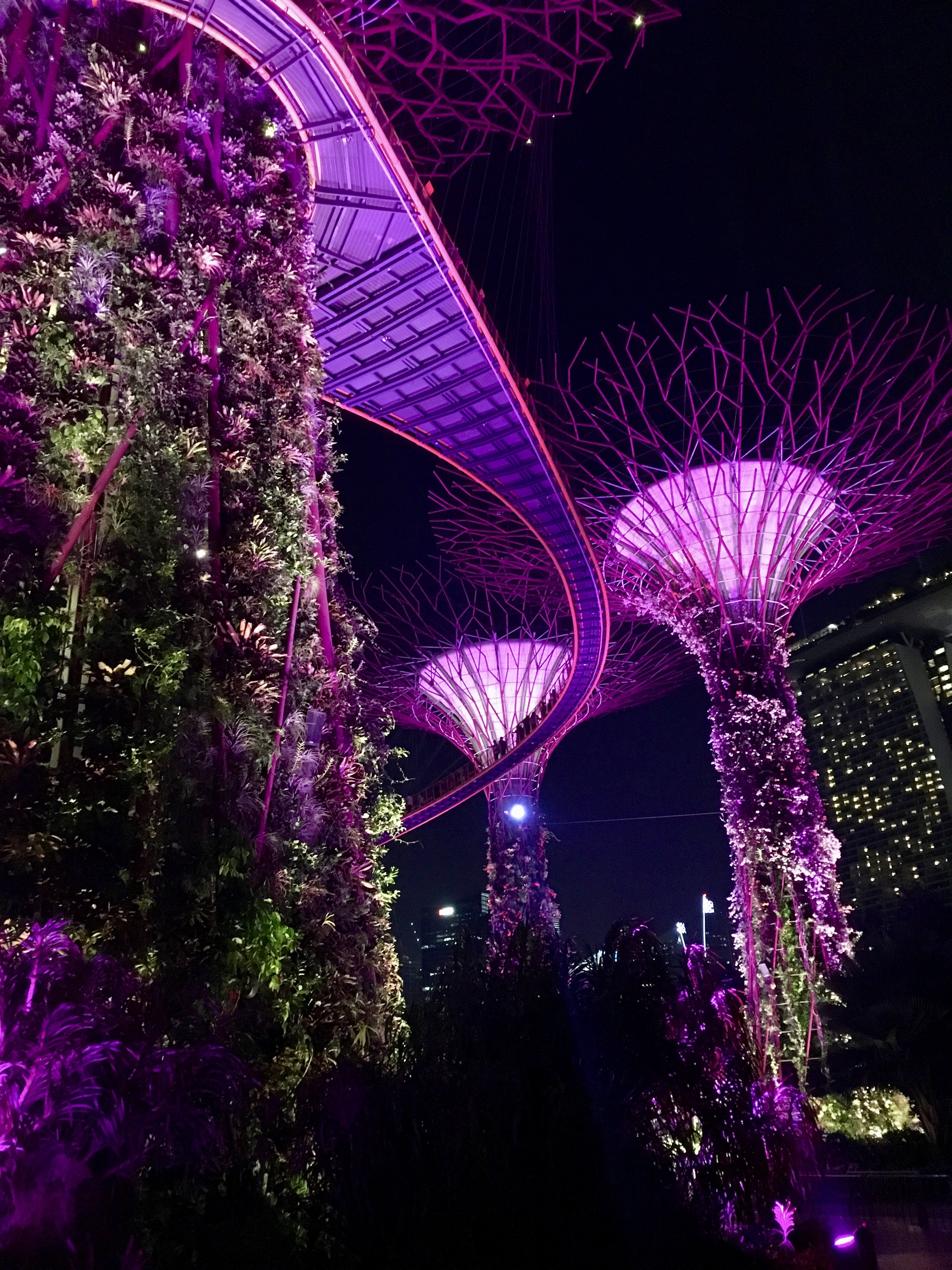 supertrees Gardens by the Bay