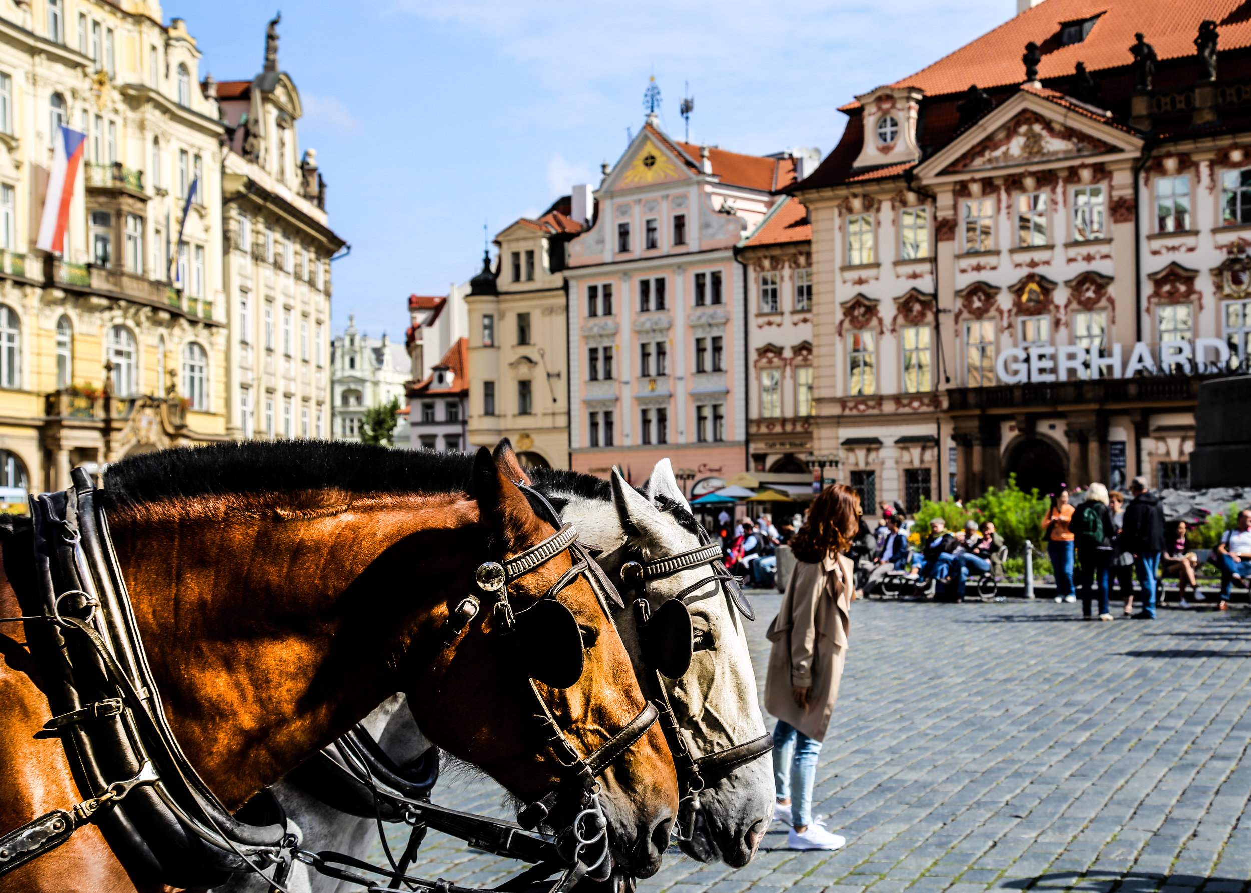 horse and carriage Old Town Prague