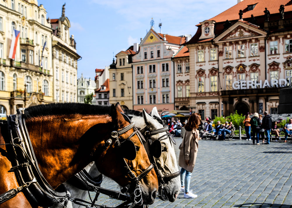 horse and carriage Old Town Prague