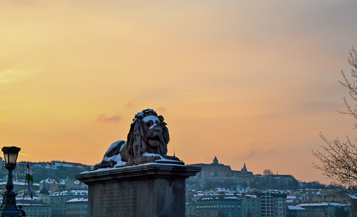 thumb_DSC_0223_1024.jpg