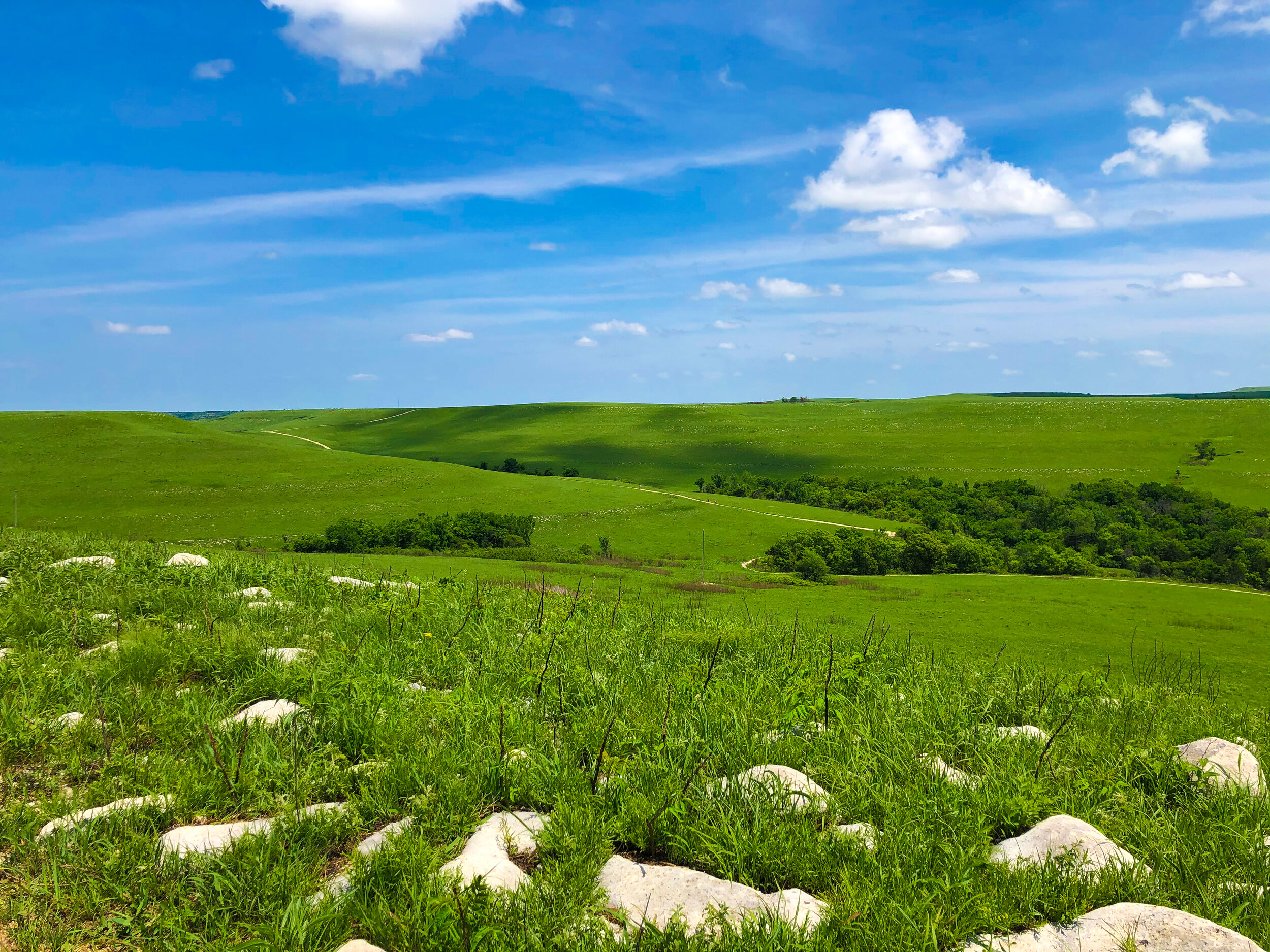 Konza Prairie.jpg