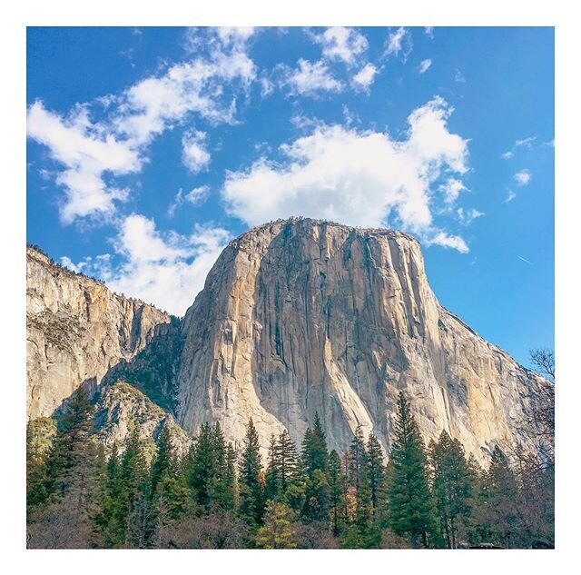 Next up 👉🏼 bringining you our favorite hikes over the next few posts to help plan your outdoor (socially distanced approved) adventures 🌿 ⁣
⁣
We start with the famous Yosemite National Park in California&rsquo;s Sierra Nevada mountains ⛰ This park