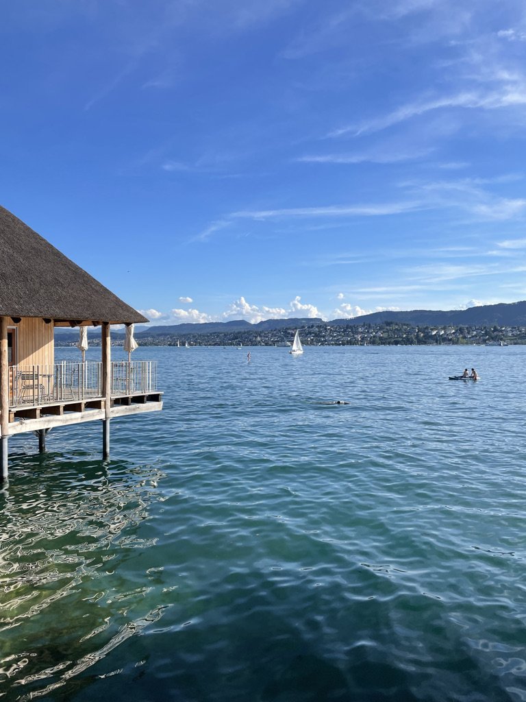 Lake Zürich  (Copy)