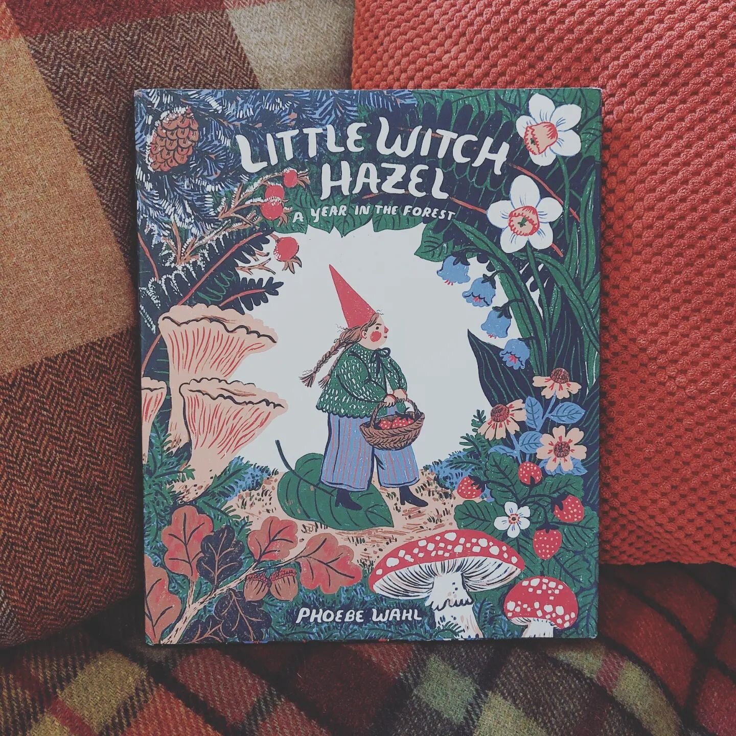 Another gorgeous witchy gift, this time from my parents. Adore the work of @phoebewahl and this book of hers is so wonderful. Reminds me of all my favourites, like Brambly Hedge &amp; Frog and Toad. Lovely lovely lovely 🐸🍄📚

#LittleWitchHazel #pic