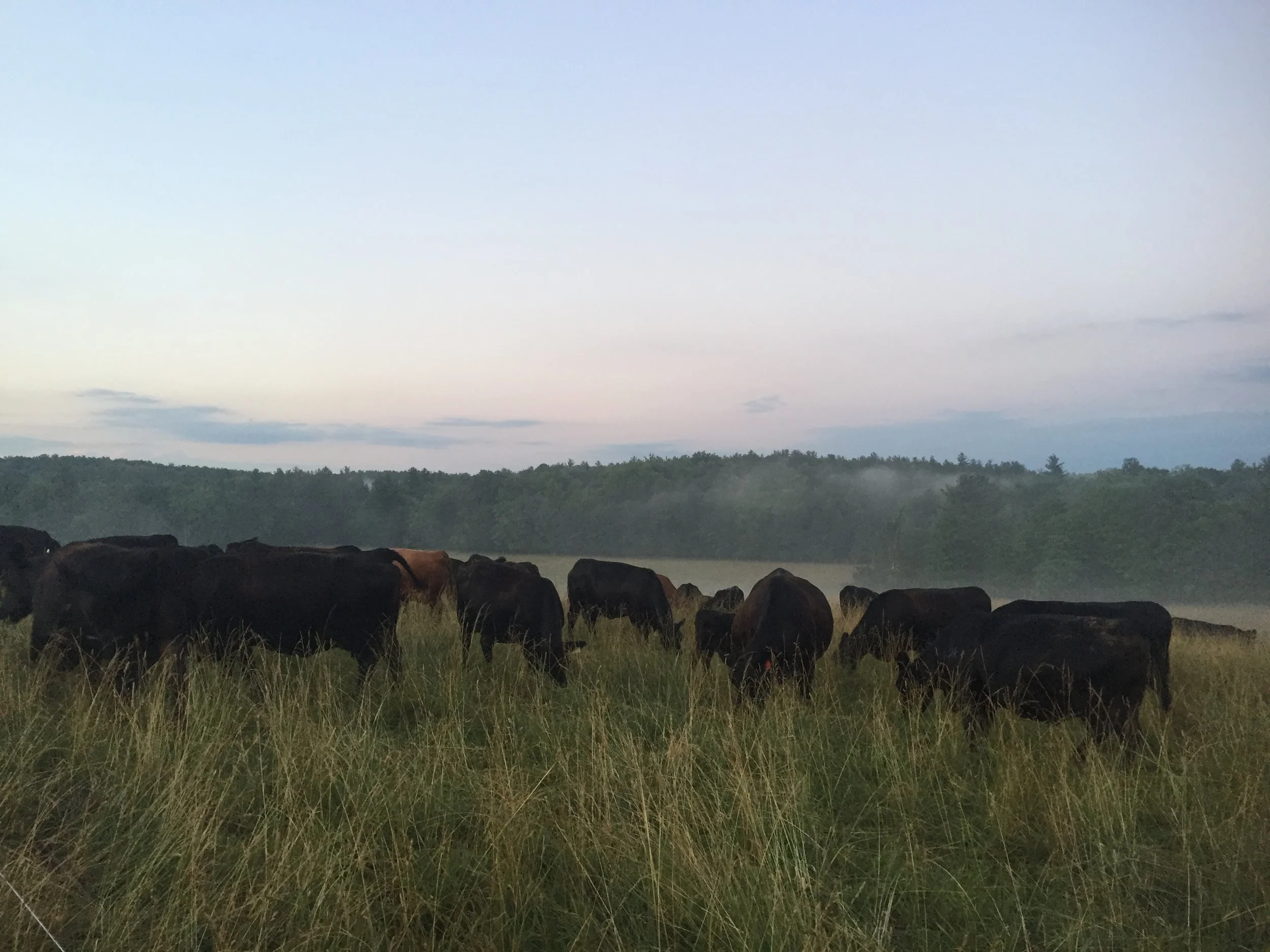 Raising the bar on Sustainable Agriculture