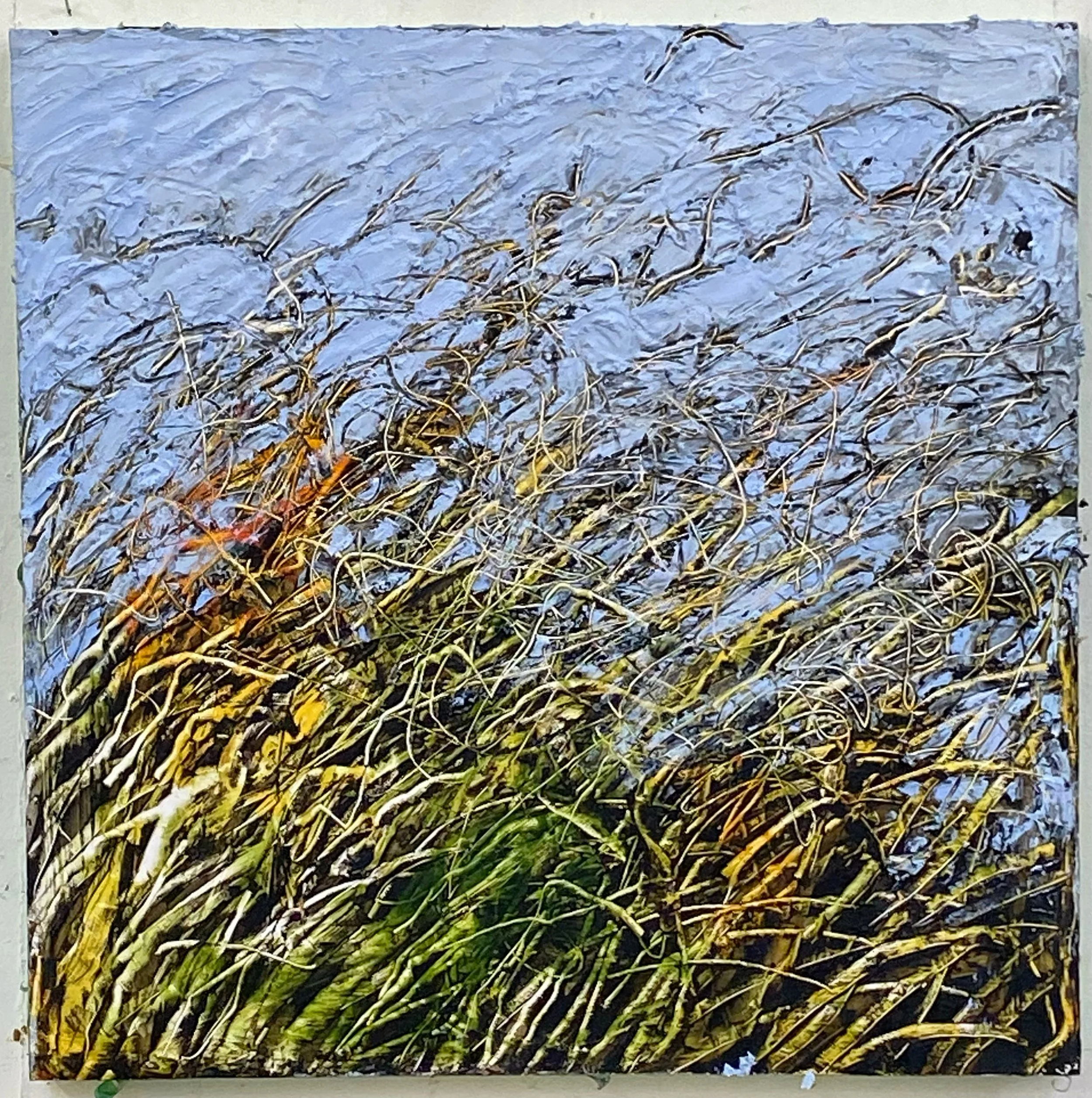 PRAIRIE WINDS I,  oil and cold wax on cradled birch 24 x 24 in.