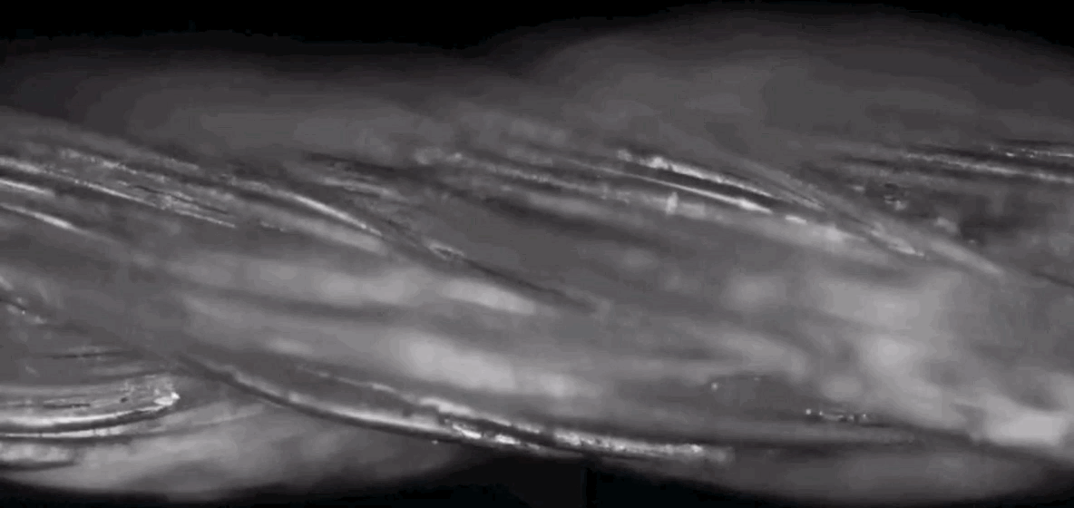 Scanning Electron Microscope Imagery Of Thread Actuators