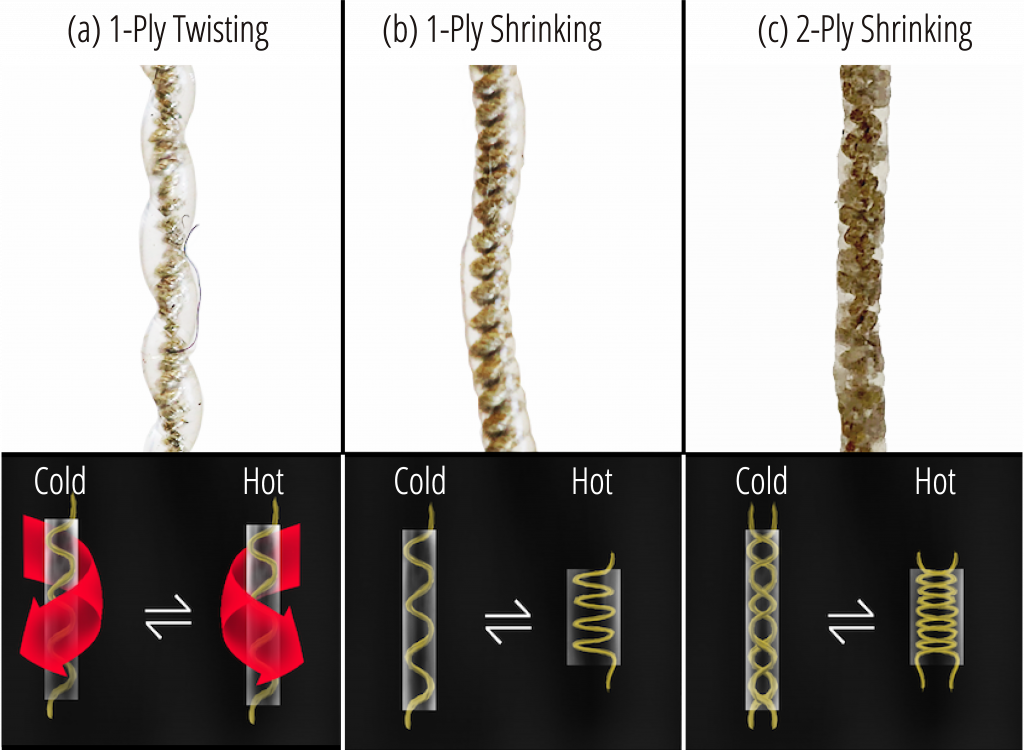 fig2-1-1024x750.png