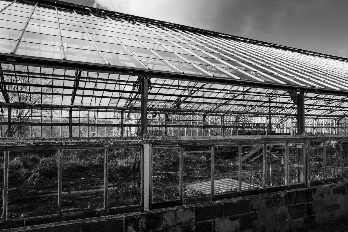 GlastPortland_ReflectShadows_010619_.jpg