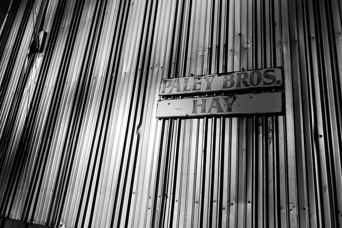 GlastPortland_ReflectShadows_010619_-16.jpg