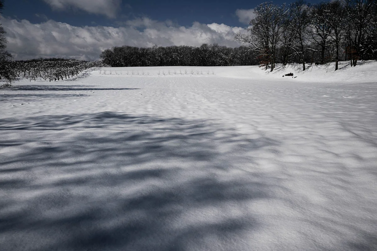 LastSnow_030419_-41.jpg