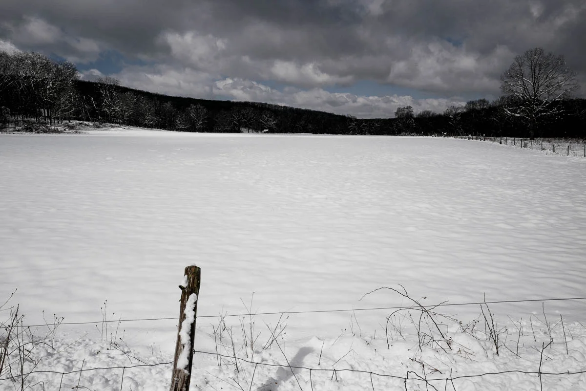 LastSnow_030419_-56.jpg
