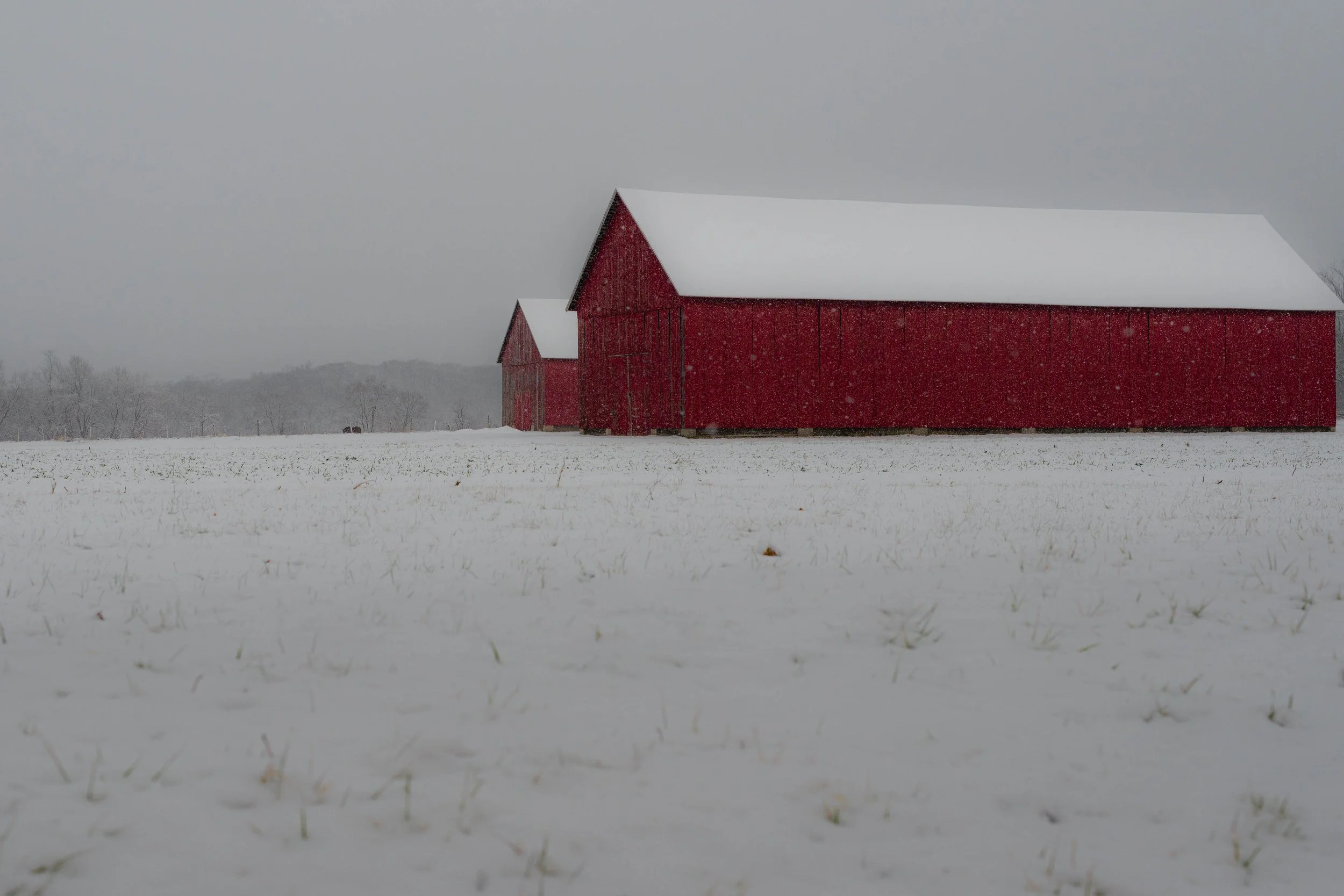 FirstSnow2026_121325_-18.jpg