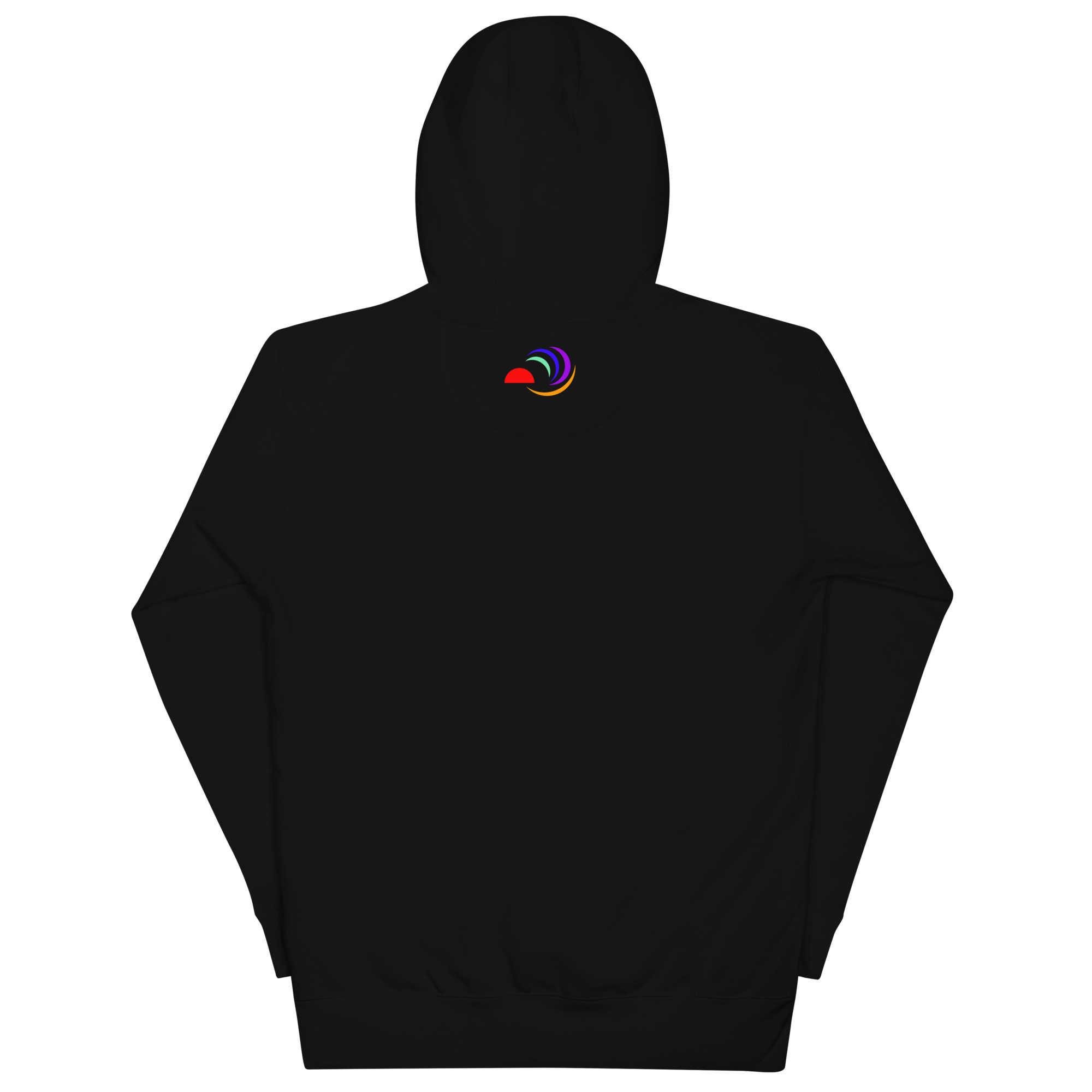 unisex-premium-pullover-hoodie-black-back-6a7ff712d4d69.png