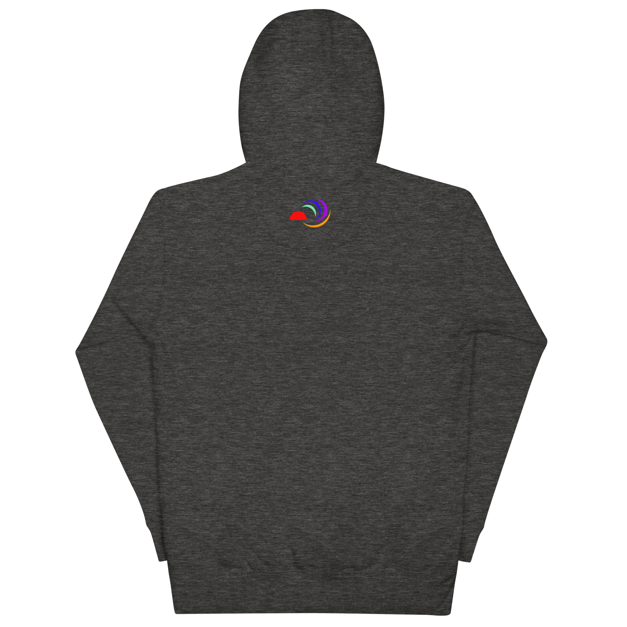 unisex-premium-pullover-hoodie-charcoal-heather-back-6a7ff712da87f.png