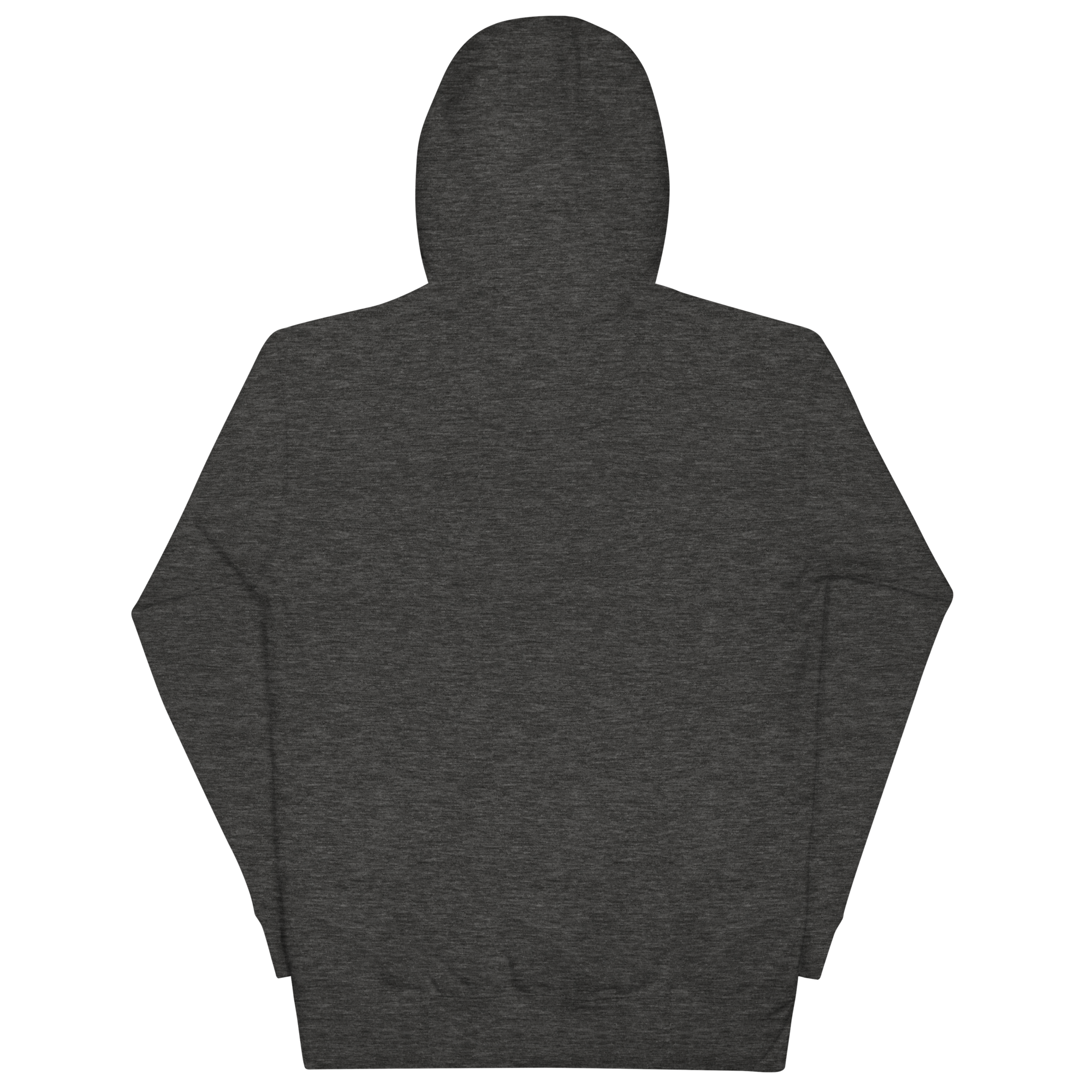 unisex-premium-pullover-hoodie-charcoal-heather-back-6a7ff837ddb82.png