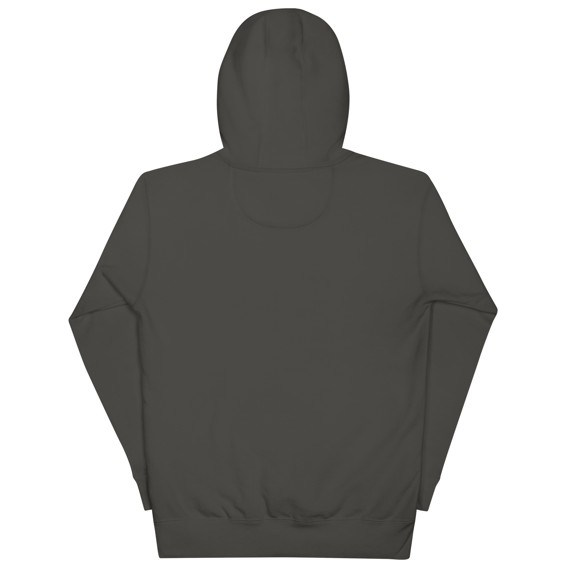 unisex-premium-pullover-hoodie-vintage-black-back-6a7ff837e0ced.png