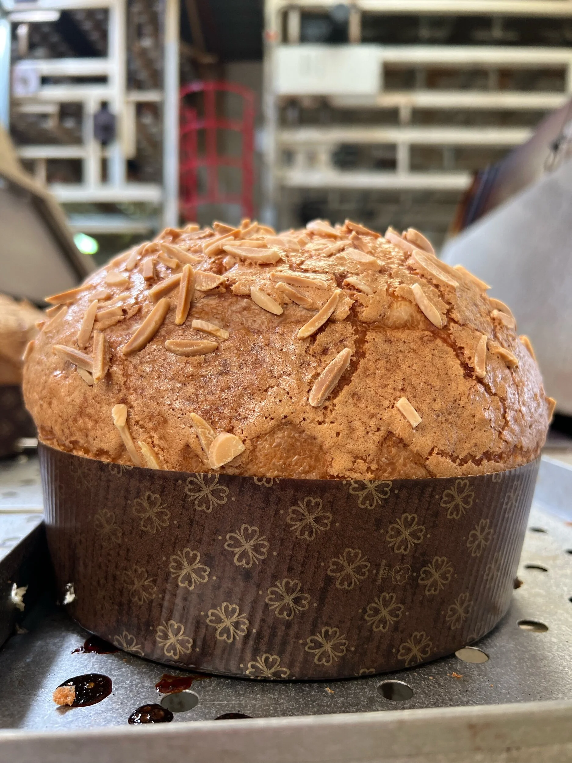 29D9D6E1-1DBD-4256-A177-617889A935DF