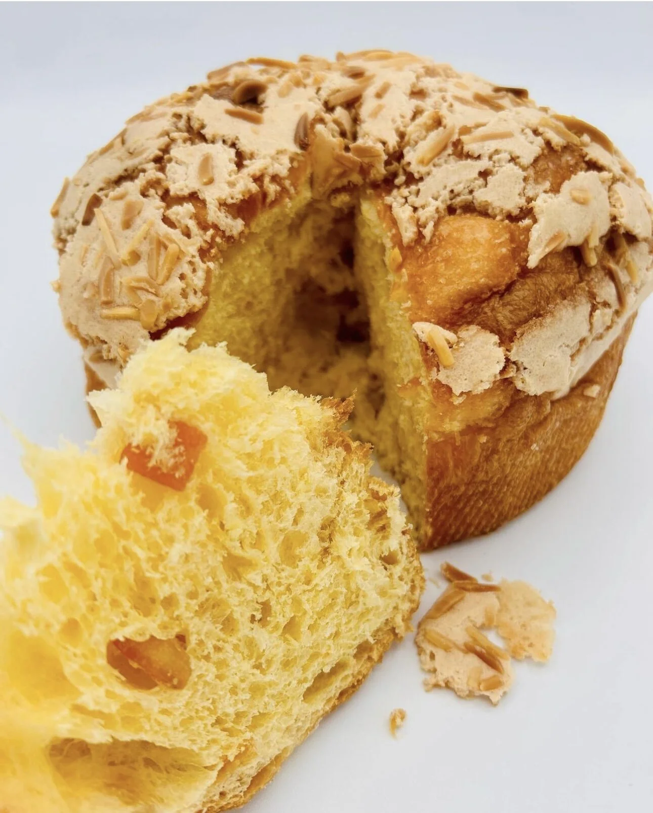 0B783D15-8E45-4BA8-B2AD-0A7E6A0E4F3C